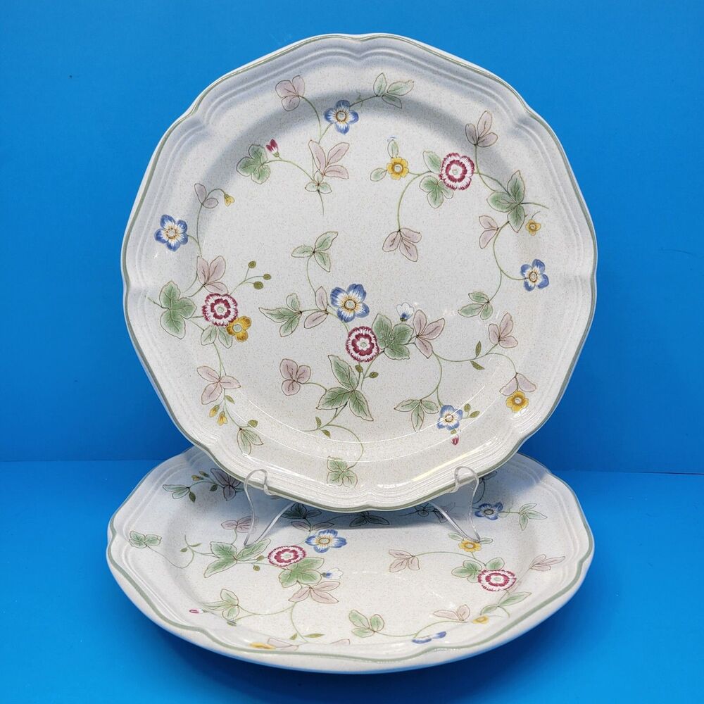 Mikasa Country Weekend Vintage 10 3/4" Dinner Plates Set of 2